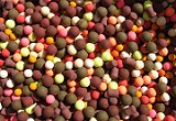 Pop Ups